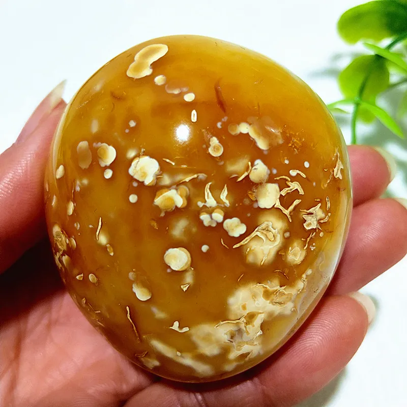 Natural Stone Lace Flower Agate Yanyuan Crsytal Palm Stones Meditation Spiritual Healing Feng Shui Gem Room Decoration