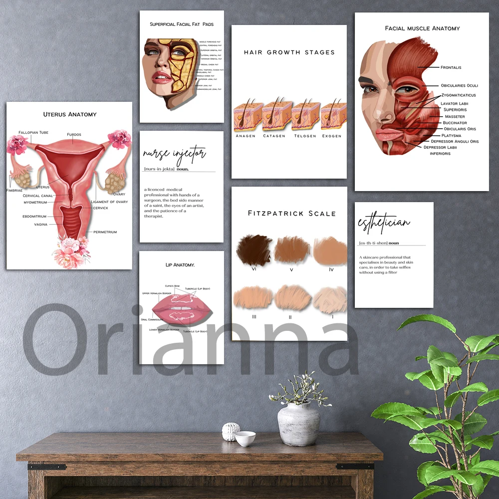 

Esthetician Definition Facial Muscle Anatomy Pictures Home Decor Wall Art Modern Canvas Paintings Hd Prints Beauty Salon Poster