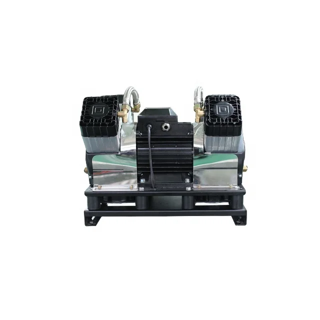 

DC Compressor Vacuum Pump Electric Vehicle Brake air Compressor