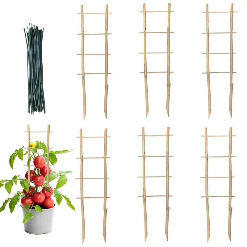 

6 Pcs Bamboo Trellis Plant Climbing Rack Bamboo Plants Ladder Trellis With Twist Ties Support Trellis Square For Indoor Potted