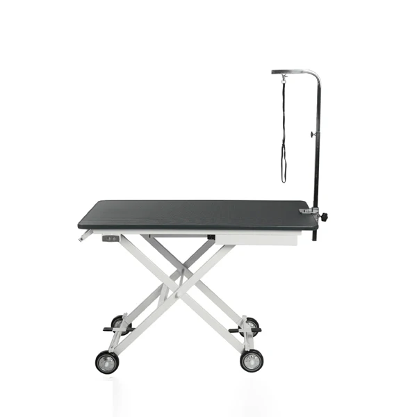 

Plastic Top Folding Grooming Table Adjustable Dog Grooming Table for Professional Pet