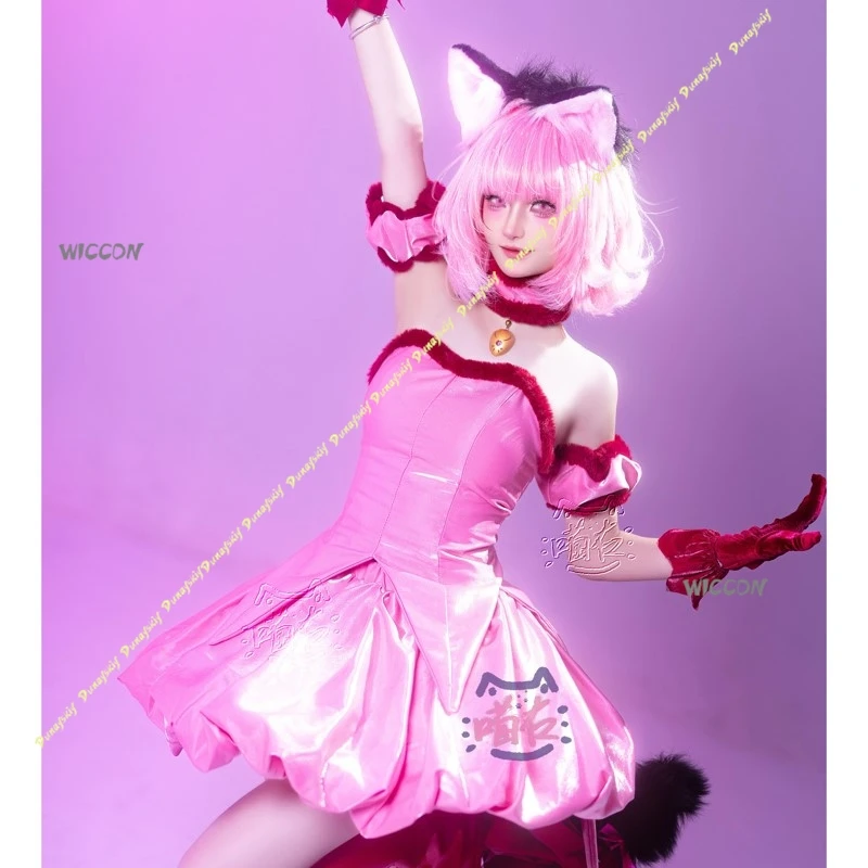 Tokyo Mew Mew Cospl… - image