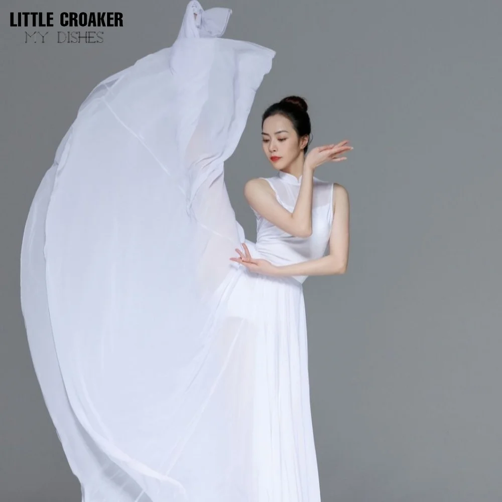 Ballet Ferry Half-length Practice Skirt Modern Dance Xinjiang Dance Photo Art Test Long Skirt Stage Performance Costume