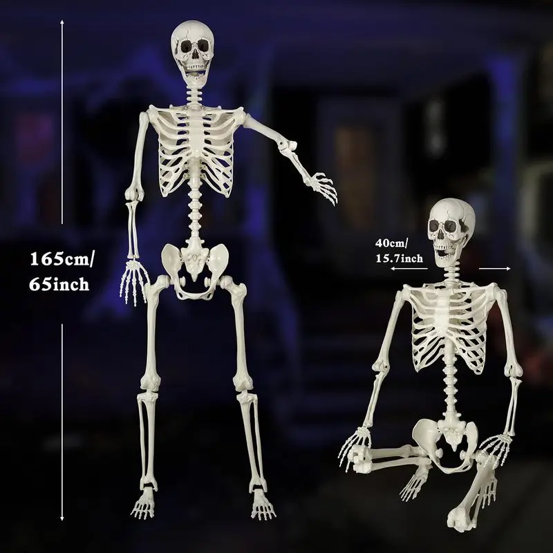 scheletro-umano-in-plastica-a-grandezza-naturale-per-halloween-con-articolazioni-mobili-e-posizionabili-grande-scheletro-realistico