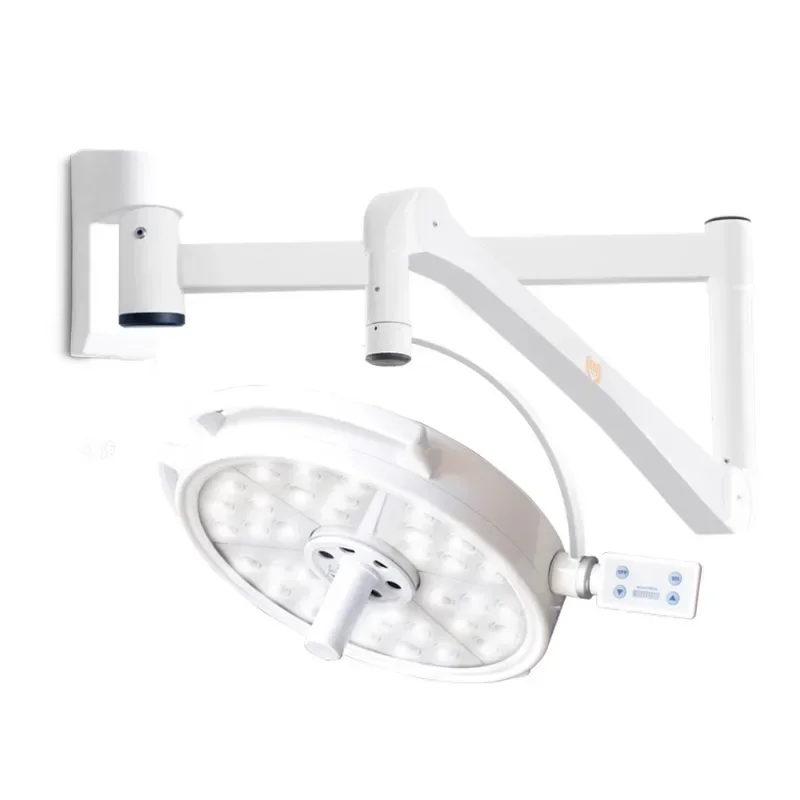 LED lighting, inspection lights, pet oral lighting