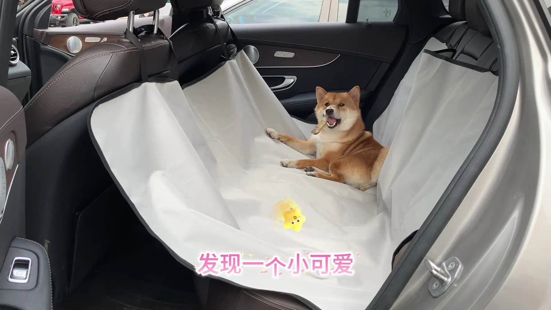 Car Pet Seat Pad Waterproof Dirt Resistant Suitable Multiple Models Solid Color Cars Rear Seats Cushion