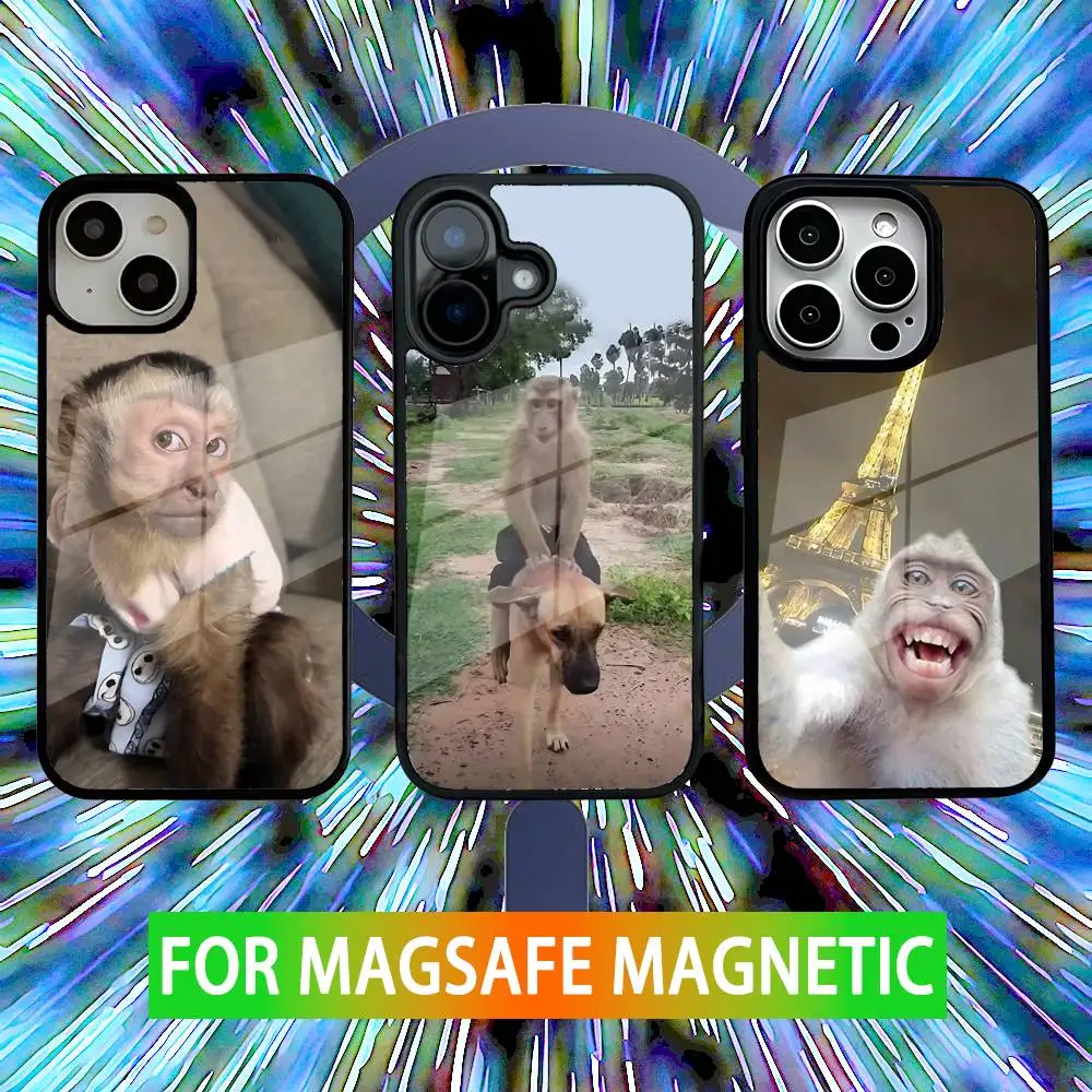 

Funny Monkey Meme Phone Case For iPhone 16,15,14,13,12,11,Pro,Max,Plus,Mini,SE New Magsafe Magnetic Wireless Charging