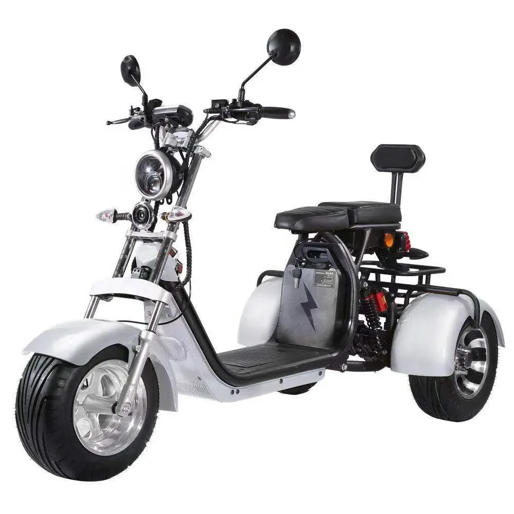 Customize electric tricycle 1000w differiential motor 3 wheel trike ce for adult passenger and cargo carrier