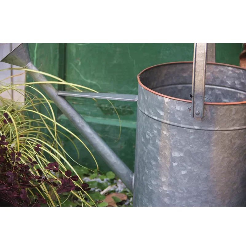 Galvanized Iron Watering Can with Lotus Flower Spray Nozzle