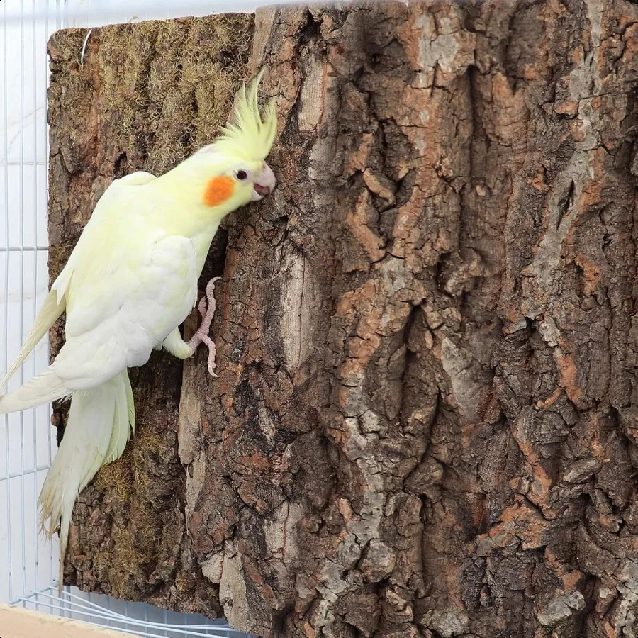 2 حزمة 16x12 بوصة 100% الفلين الطبيعي جثم الطيور الفلين مقعد لوحات قفص العصافير النباح ديكور اكسسوارات للطيور الببغاء الببغاء بارو #5