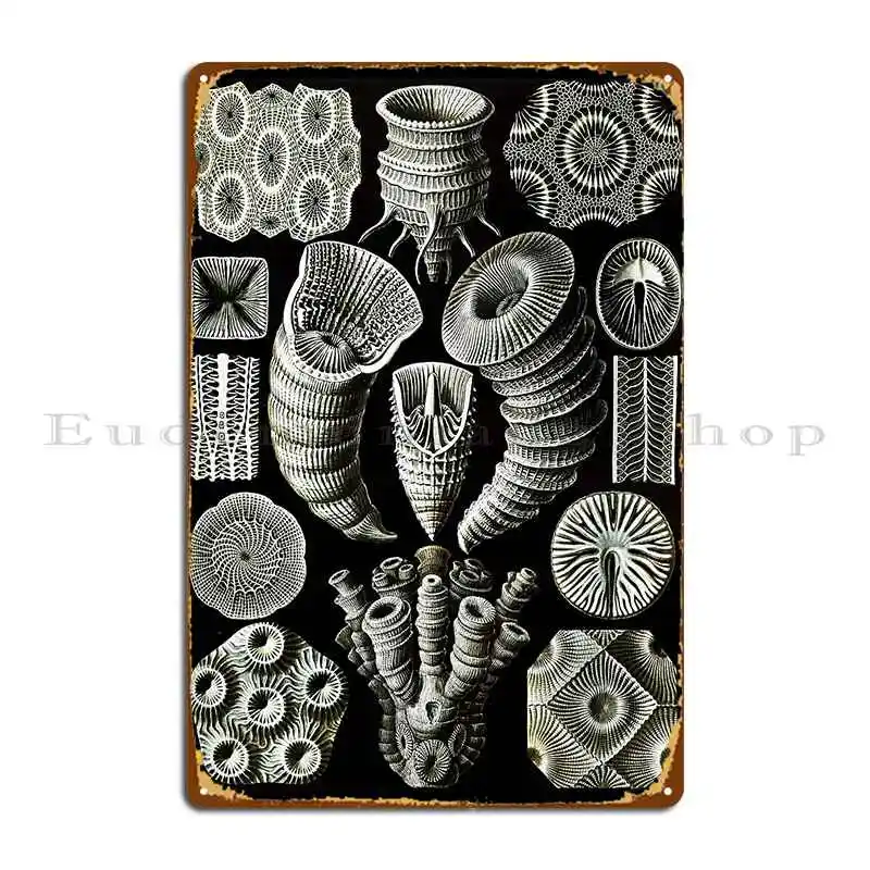 Art Forms In Nature Amazing Hd Vintage Design Number 89 Metal Plaque Poster Plates Cinema Cave Iron Party Tin Sign Poster