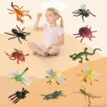 Insect-12pcs-C