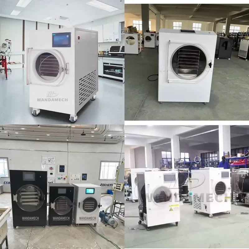 Mini Dryer Machine for Home Use Vacuum Lyophilizer for Dried Food 2kg 4kg 6kg 10kg Capacity Fruit Vegetable