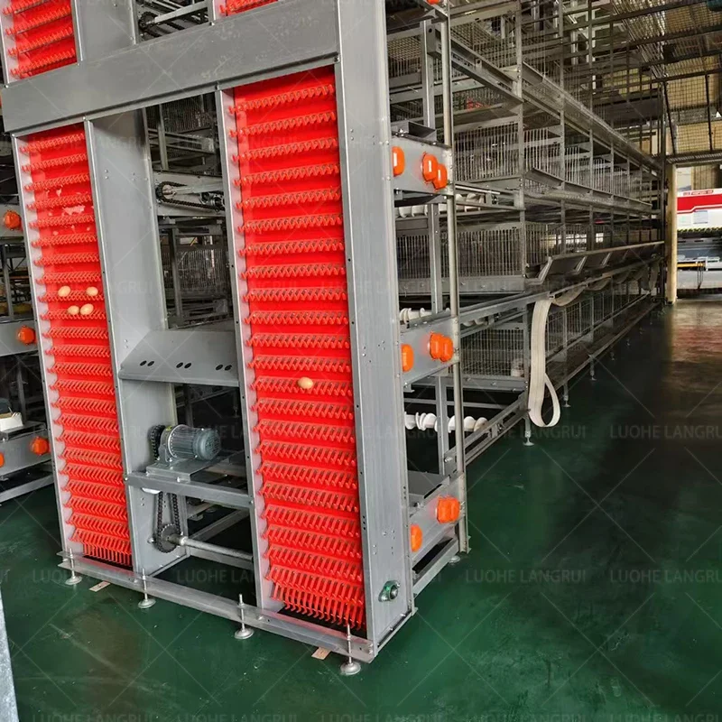 Supply Hot Dip Galvanize Steel Big H Type Chicken Farm Equipment Battery Layer Automatic Chicken Cages With Egg Laying System