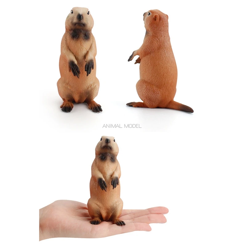 Simulation Forest Wild Animal Solid Model Groundhog Desktop Ornaments Early Education Cognitive Toys Children Gifts