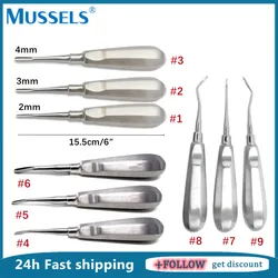1PC Dental Elevators Teeth Extraction Surgical Pliers Stainless Steel Tooth Root Luxating Instrument Dentist Tool Stright Curved