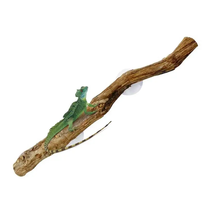 Reptile Branches For Climbing Unique Bearded Dragon Branch Natural Non-slip Habitat Decorations Reptile Decor For Bearded Dragon