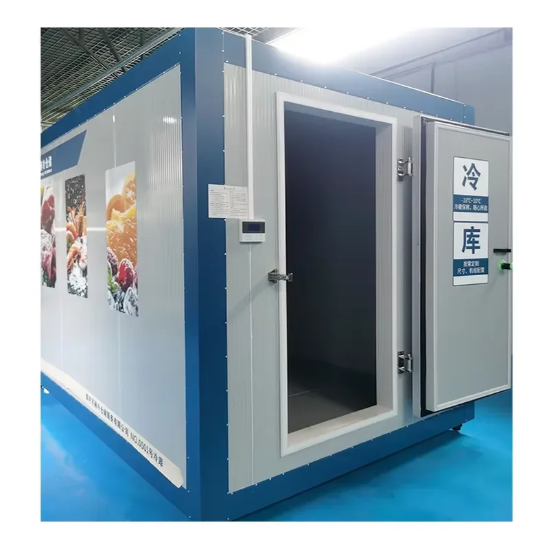 Medium-Scale Cold Storage Freezer Quick-Frozen Refrigerated Fresh-Keeping for Fruit Vegetable Meat Seafood