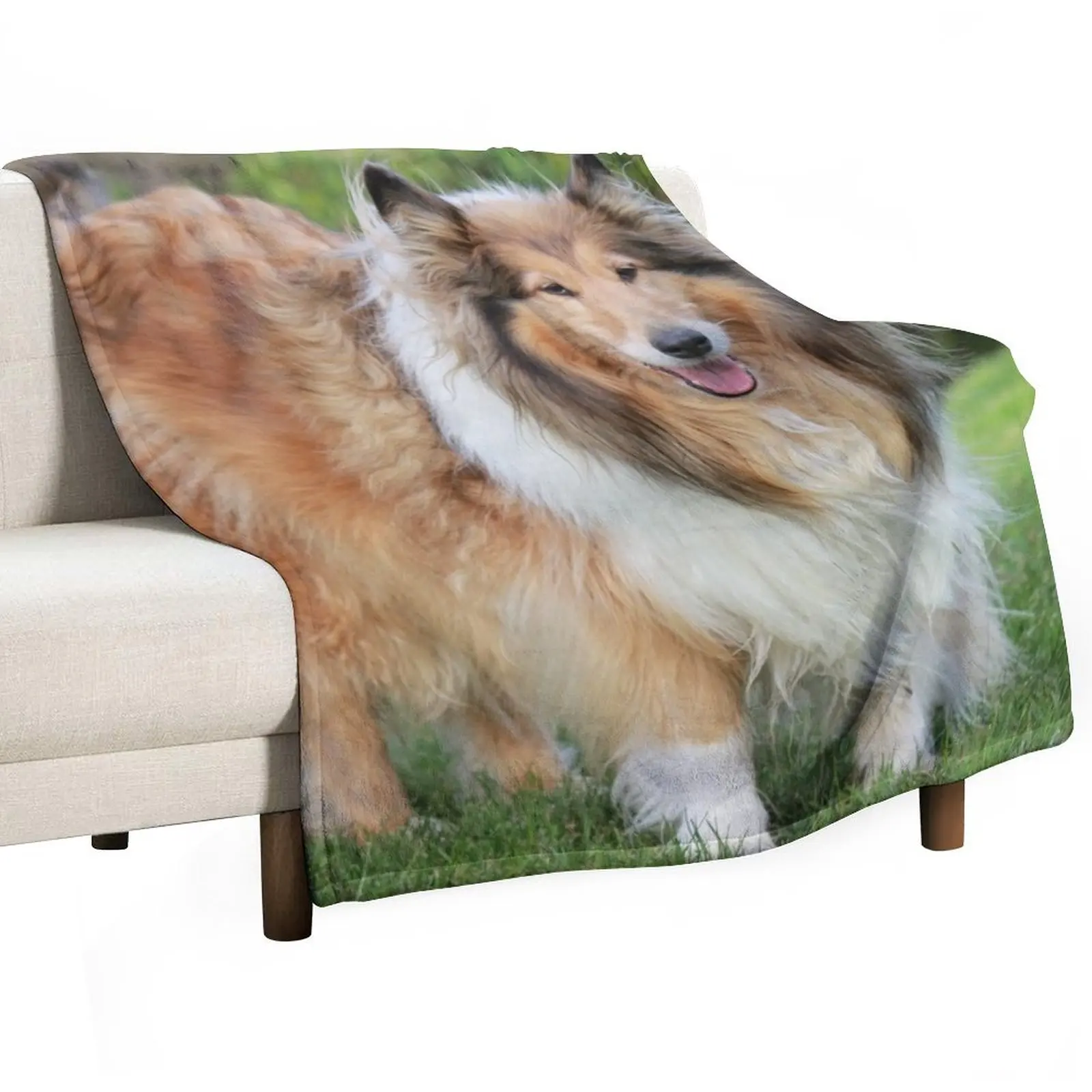 Sable Rough Collie Throw Blanket All Season Lightweight Soft Blanket for Bed