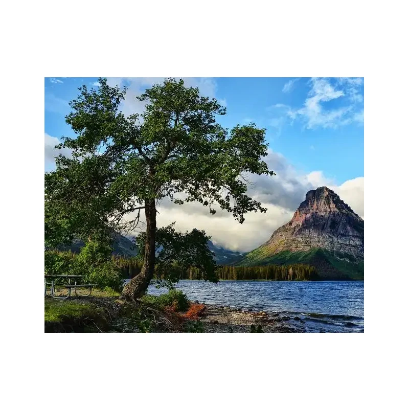 

Tuya Wifi Smart Home Alarm System 120dB Burglar Security Alarms Siren Smart Life App Control Wireless Anti-theft Alarm Kits