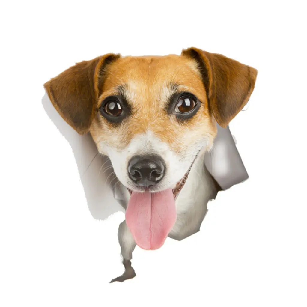 3D наклейка на стену Peeking Cat Dog - виниловая самоклеящаяся наклейка для плитки, туалета, ноутбука, домашнего декора