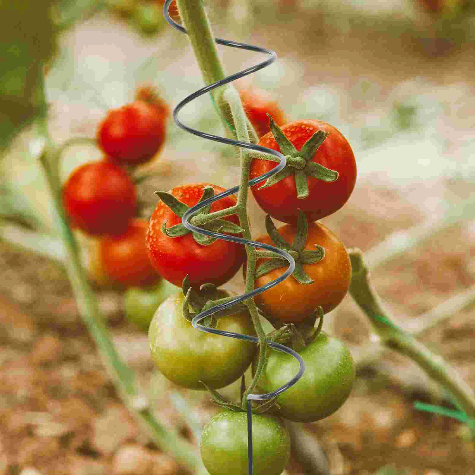 6 Pcs Spiral Plant Support for Plants Tomato Flower Stand Climb Stem Subject Tutor Metal