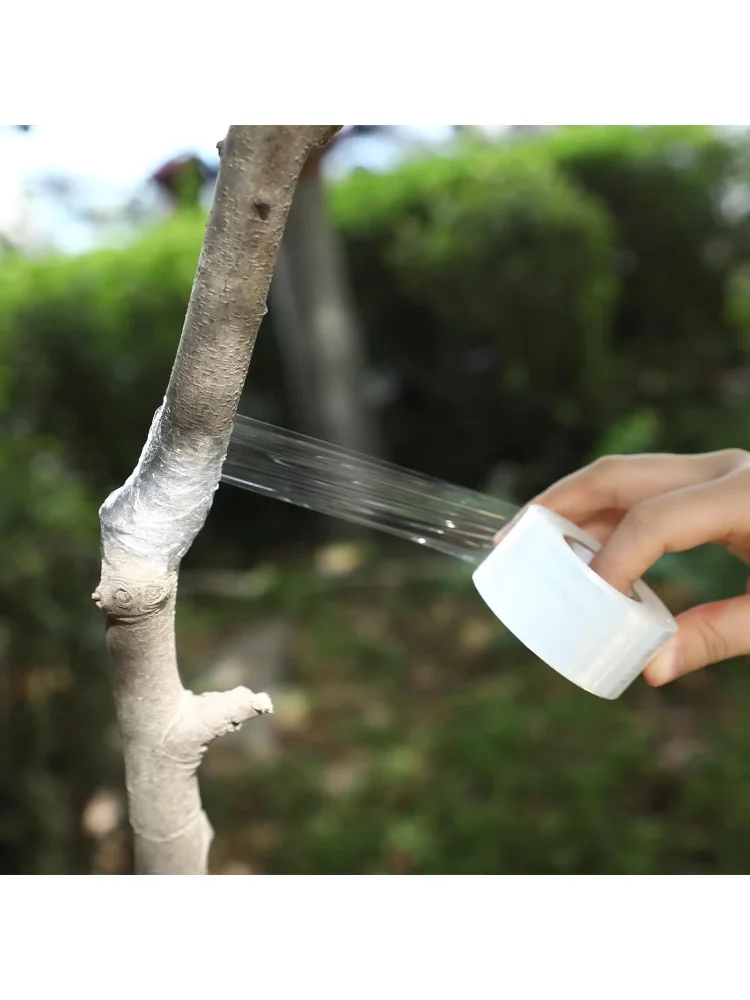 70m Length Eco-Friendly Biodegradable Grafting Tape Graft Membrane Gardening Bind Belt PE Grafting Tape Packaging wrapping film