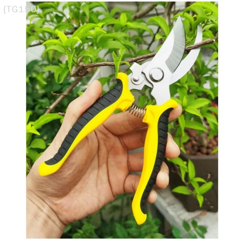 Ciseaux horticoles multifoncti - Pruning Shears avis et prix