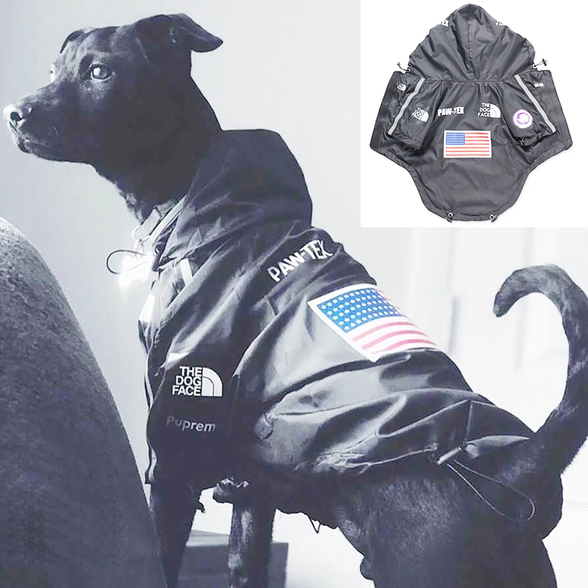 Thumbnail 4 - #51 Top Waterproof Dog Jackets Picks for Every Budget