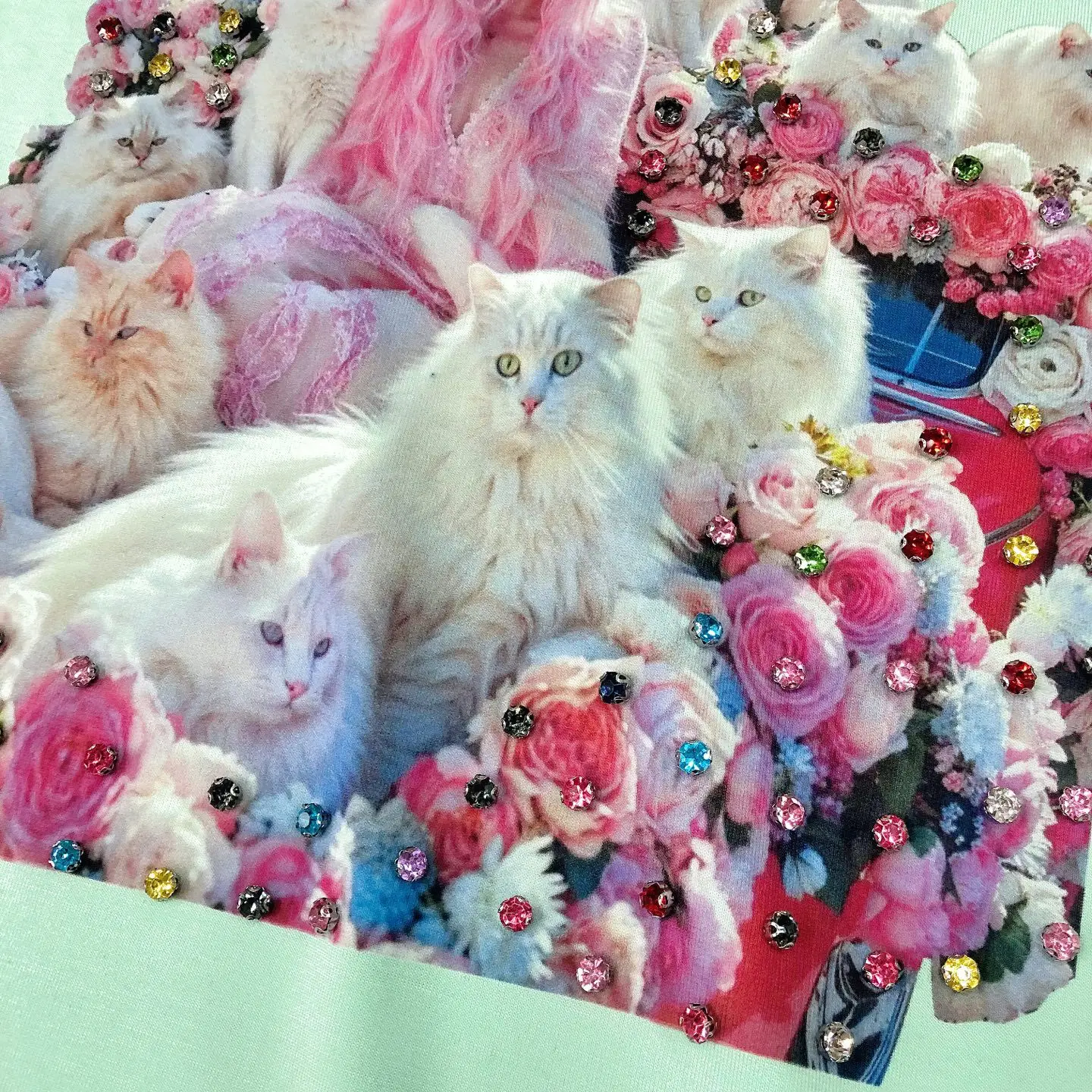 Autumn New Fashion Loose Character Cat Nail Diamond Printing Age Reduction Versatile Long Sleeve Sweatshirt Women