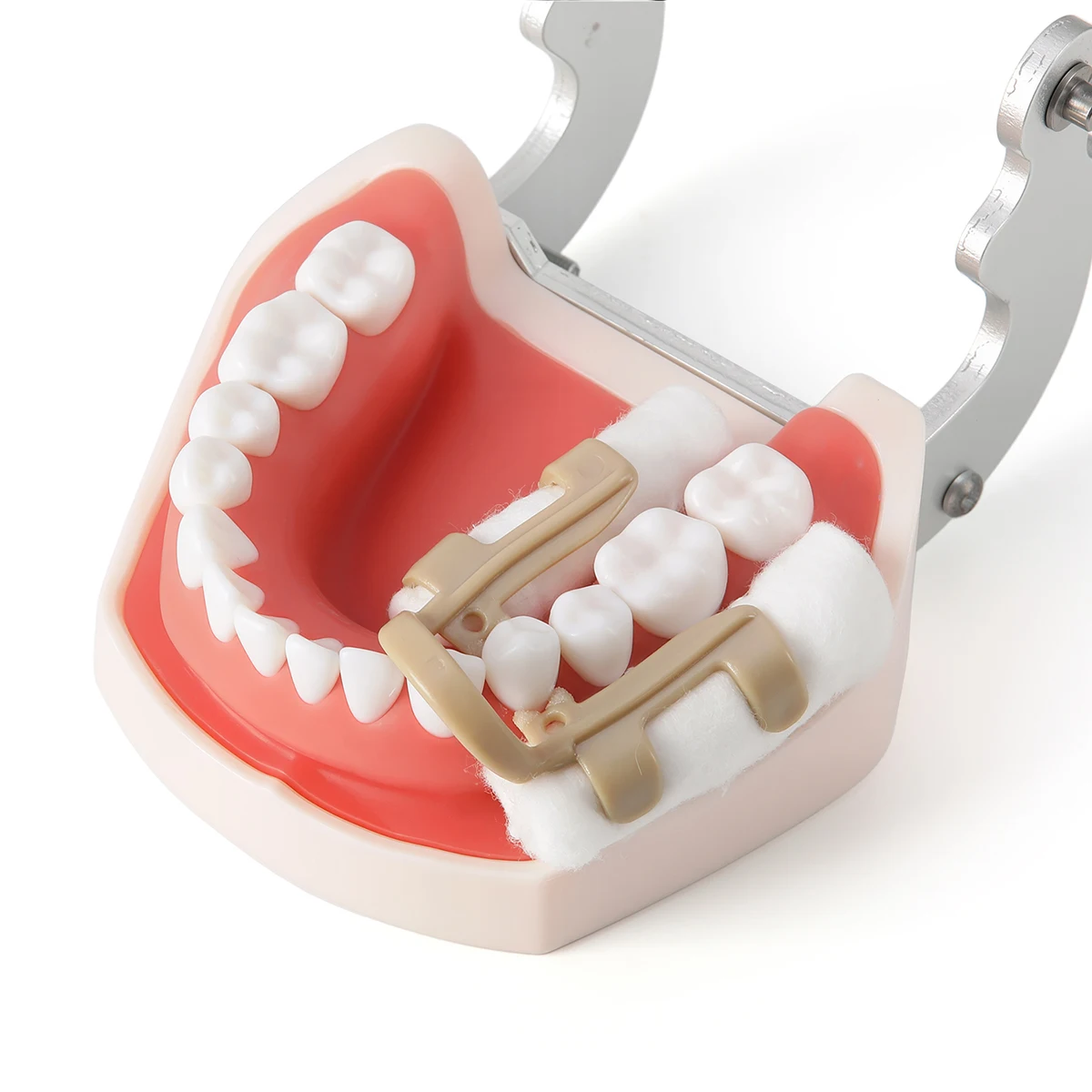 4 Stück/Box AZDENT Dental-Klammern für Baumwollrollen, für Molaren und Prämolaren, autoklavierbar, sterilisierbar, Zahnmedizin-Laborwerkzeuge – Detail 5