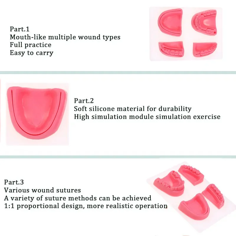 Oral Suture Practice Kit Suture Training Pad Medical Student Skin Suture Surgical Training Kit