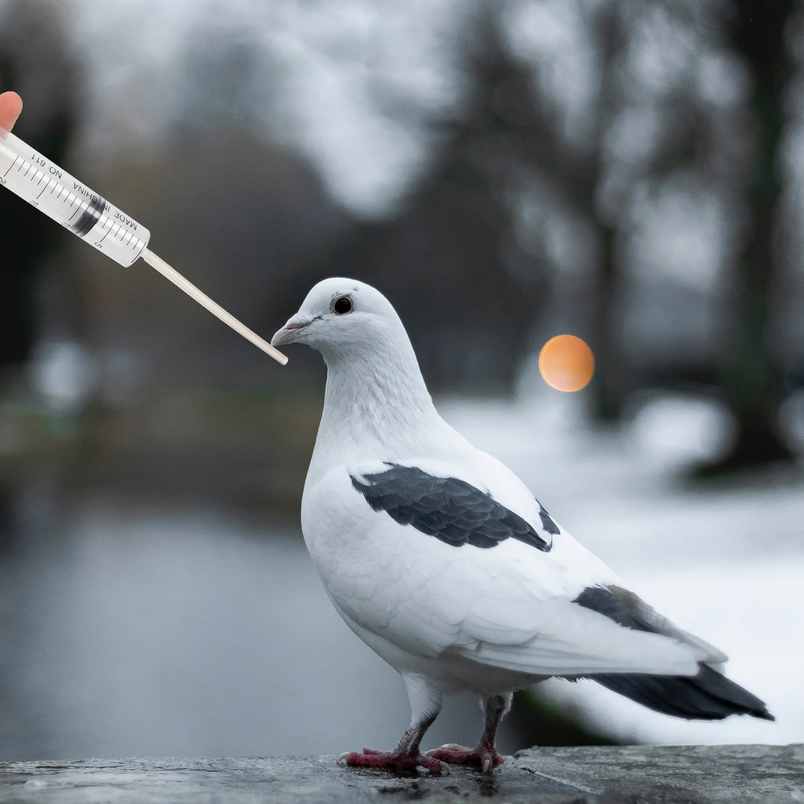 

4Pcs Pigeon Pills Feeder Premium Handheld Medicine Dispenser Strong Wear Resistant Material for Birds Pet Medicine Syringes Kit