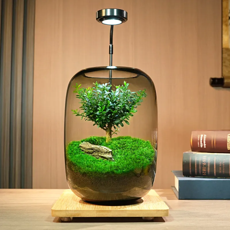 Tree of Life Moss Micro Landscape Green Plant Ecological Bottle Glass Landscaping Plant Bonsai Office Desktop Potted Plant Gift