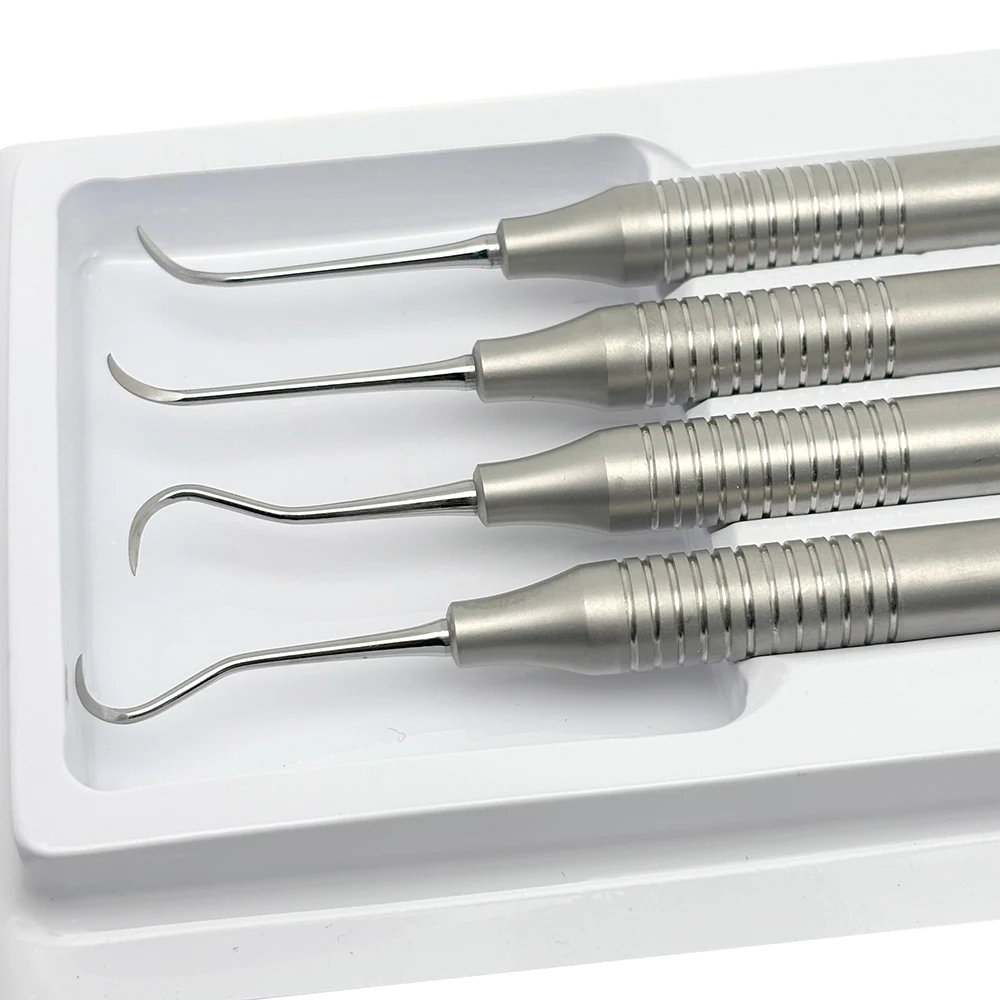 4 Pcs Double Ended Tooth Scaler Kit Stainless Steel Dental Cleaning Instruments Plaque Tartar Removal Oral Hygiene Exam Tools