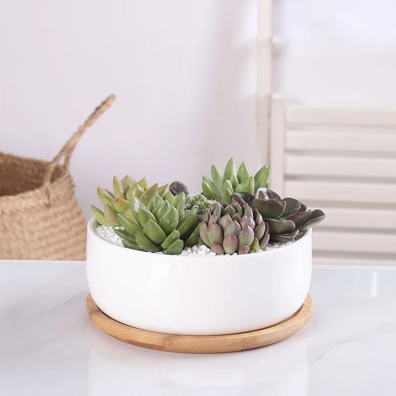 Round White Ceramic Succulent Planter Pot Decorative Cactus Plant Pot Flower Container with Bamboo Tray Home Office Decoration