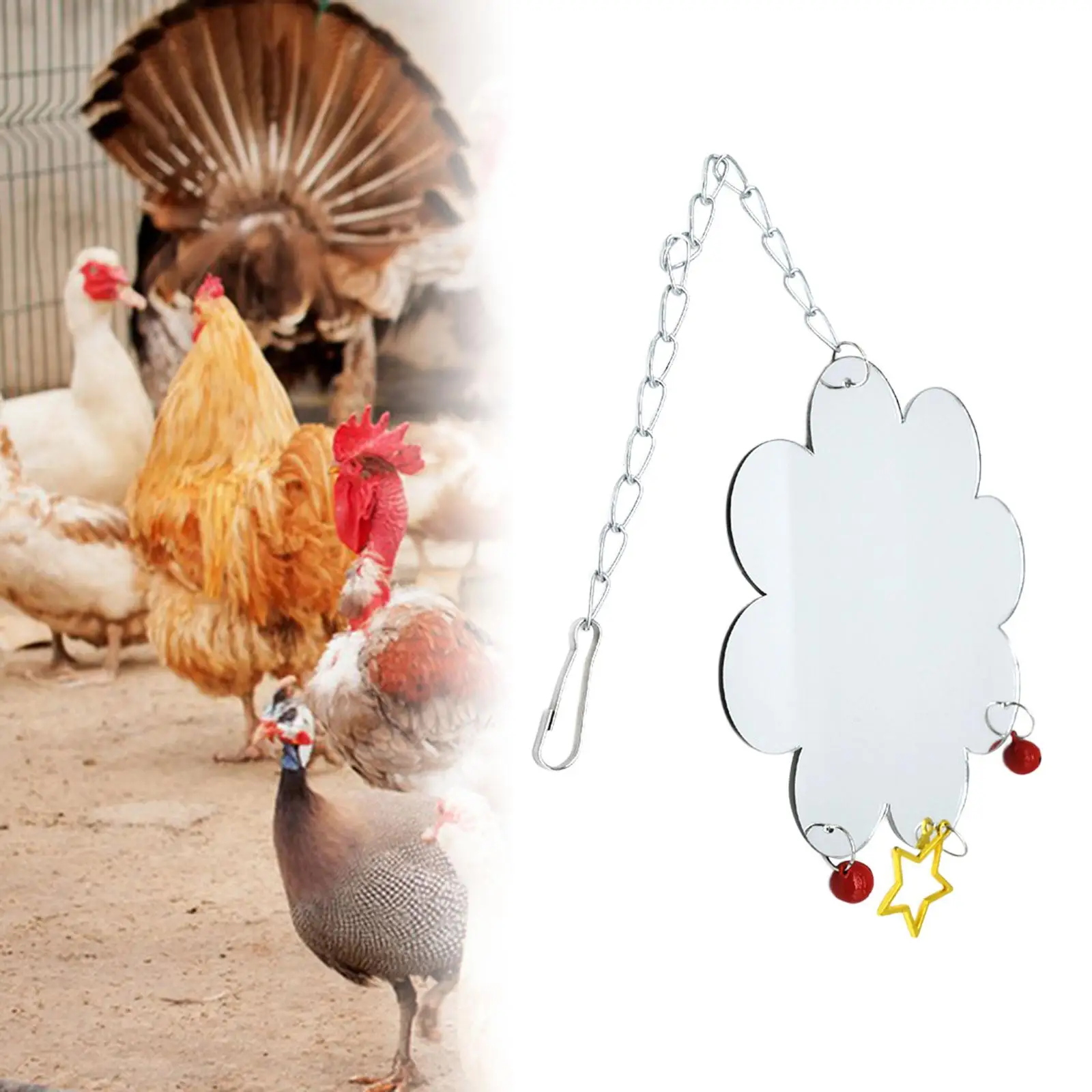 Chicken Mirror Toys with Bells, Chicken Coop Toy Hen Chicken Toys for Coop,