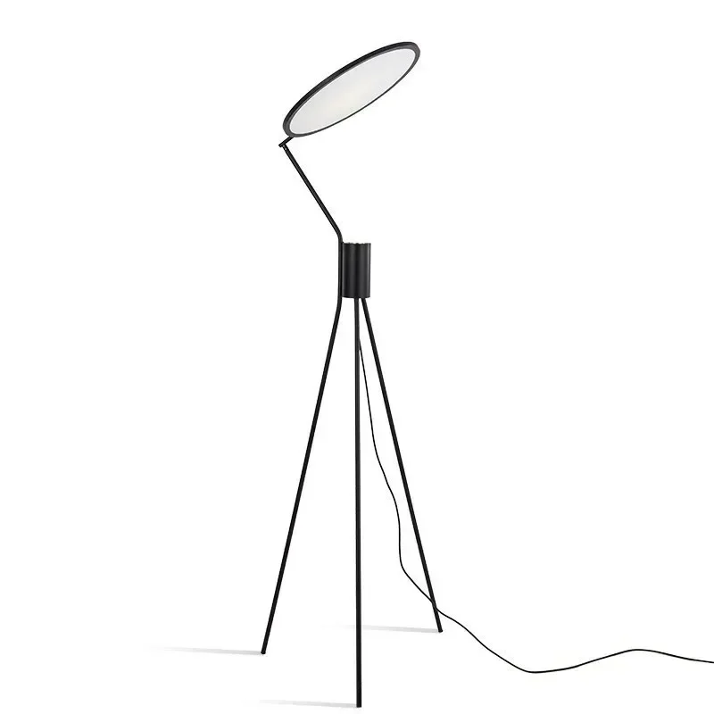 

Nordic modern simple light luxury study floor lamp art edge floor lamp