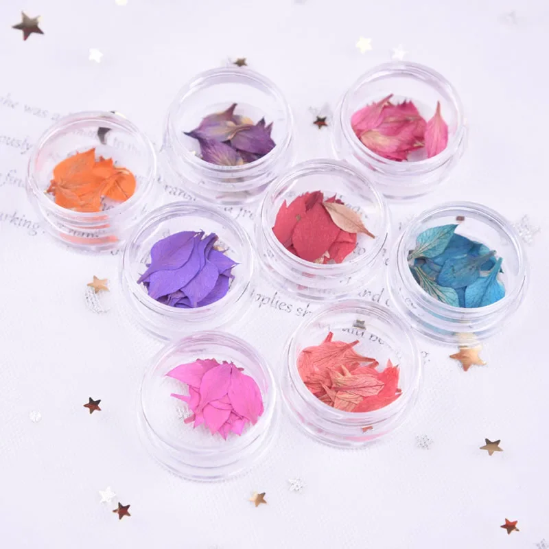 

40PCS,Pressed real Flower,Dyeing Leaf Petals for DIY Craft Photo Frame Bookmark Gift Card,Flores secas Jewelry Facial Decor