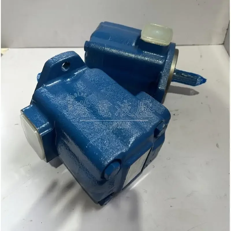 American Sonny SUNNY oil pump 25V10A-1A22R 1B22R 1C22R 1D22R high pressure vane pump