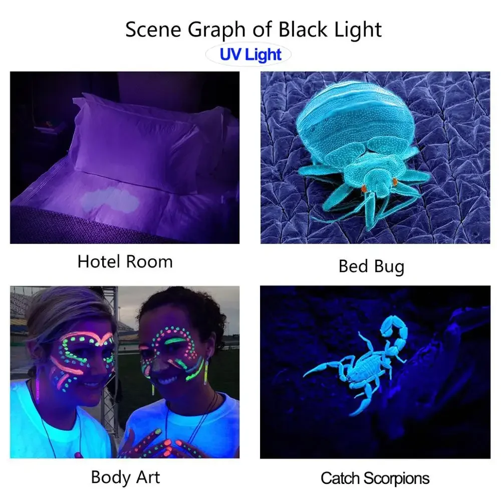 Portable UV Flashlight 395nm Black Light Flashlights Zoom Torch UV Light Detector for Pet Urine Stains Scorpion