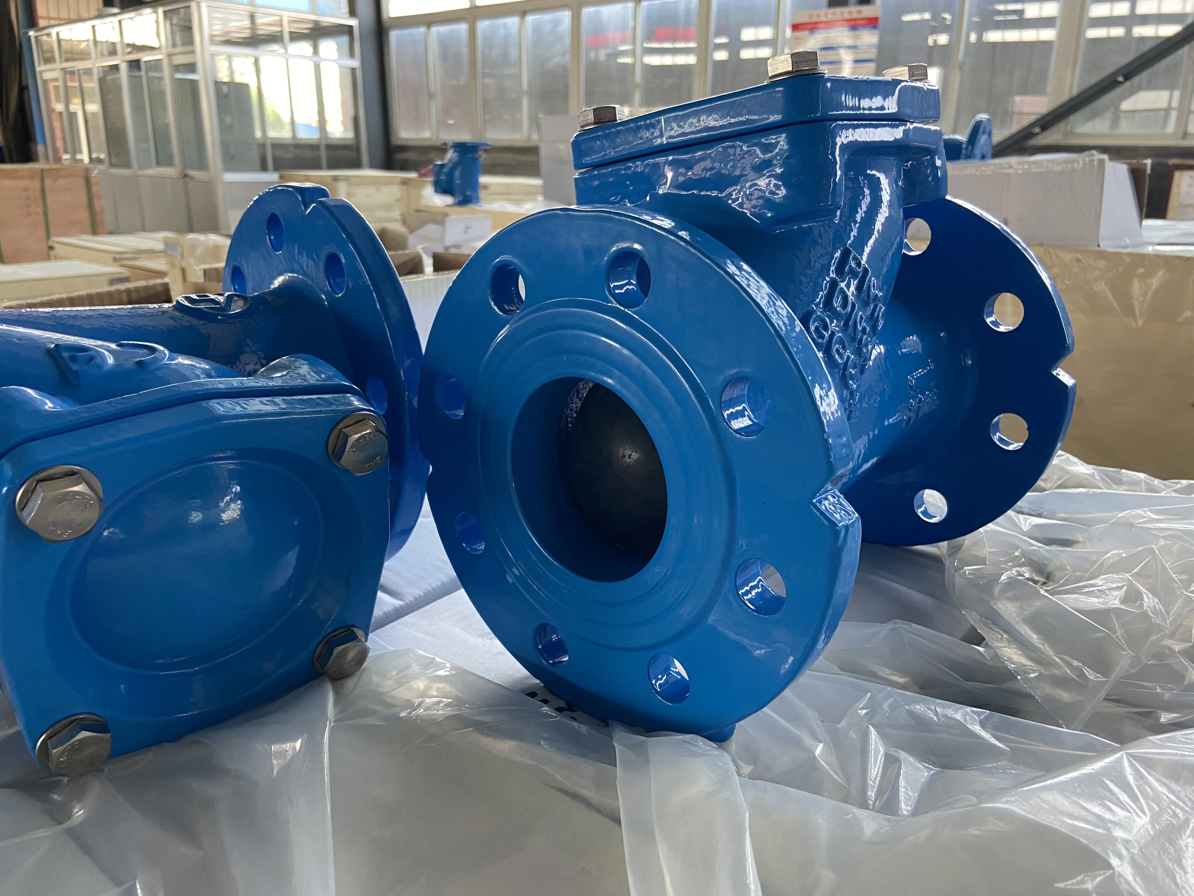 Ductile Iron Flange Ball Check Valve For Sewage Water Suppliers