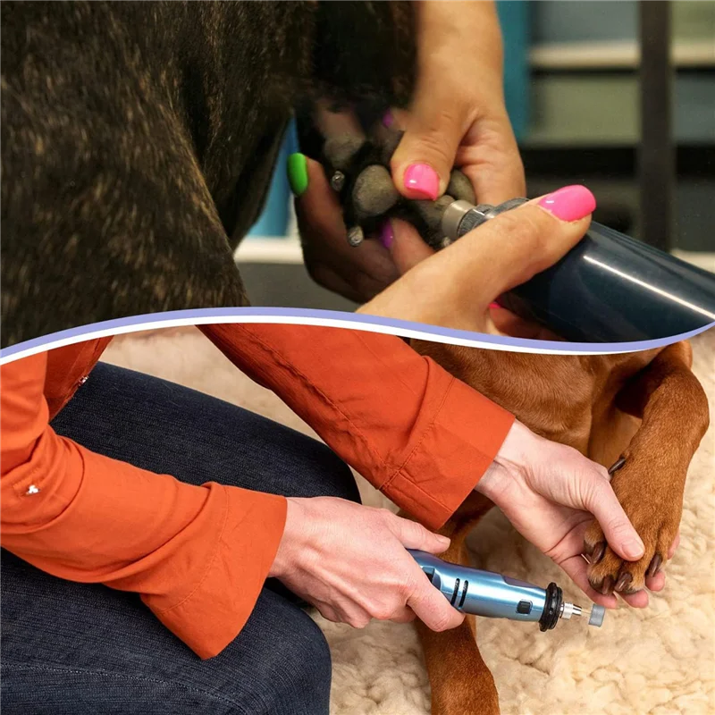 Têtes de rechange pour broyeur à ongles pour chien, A47F-4Pcs, compatibles avec Casfuy, pointes en diamant, foret, roues de rechange pour ongles d'animaux de compagnie, coupe-ongles