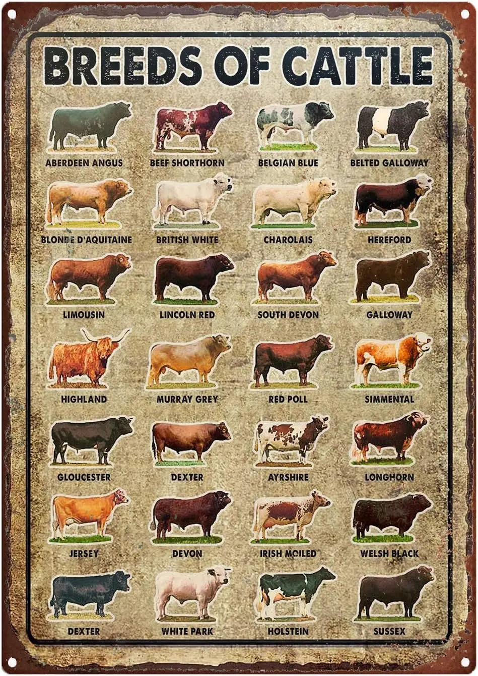 Eeypy Vintage Metal Signs for Garage Breeds Of Cattle Metal Sign, Cow Metal Sign, Cow Sign, Cattle Breeds, Farm Animals, Co sign