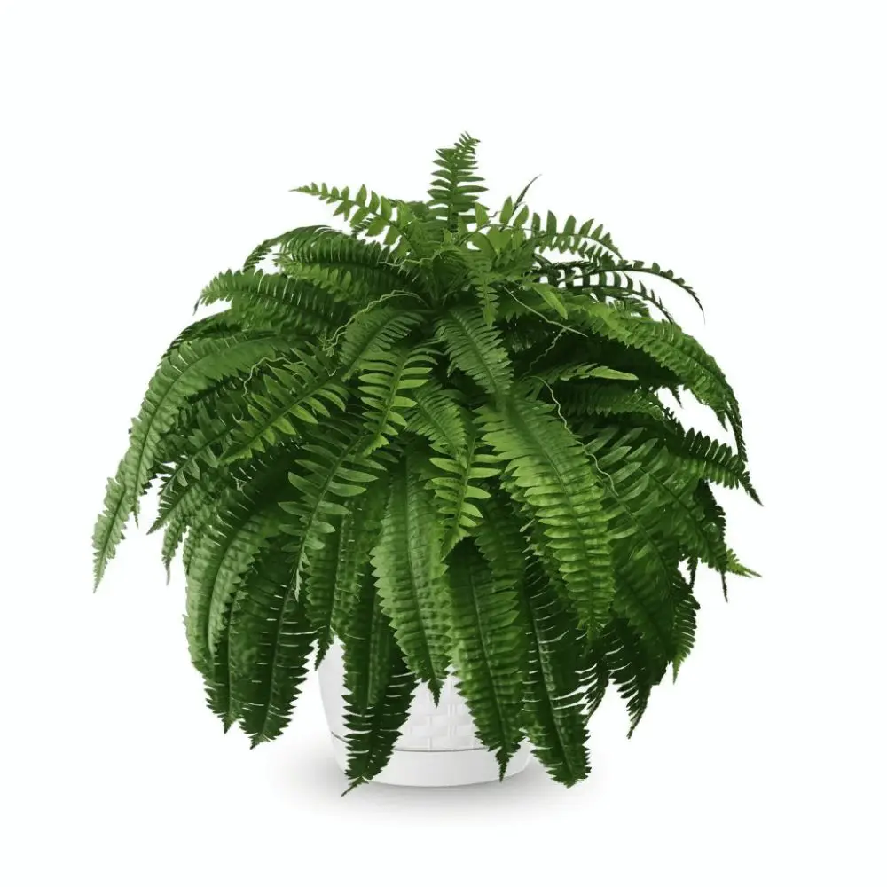 88 Leaves Glowing Boston Ferns with Lights Silk Leaf Plastic Lighted Boston Fern Plant Fade Resistant Realistic