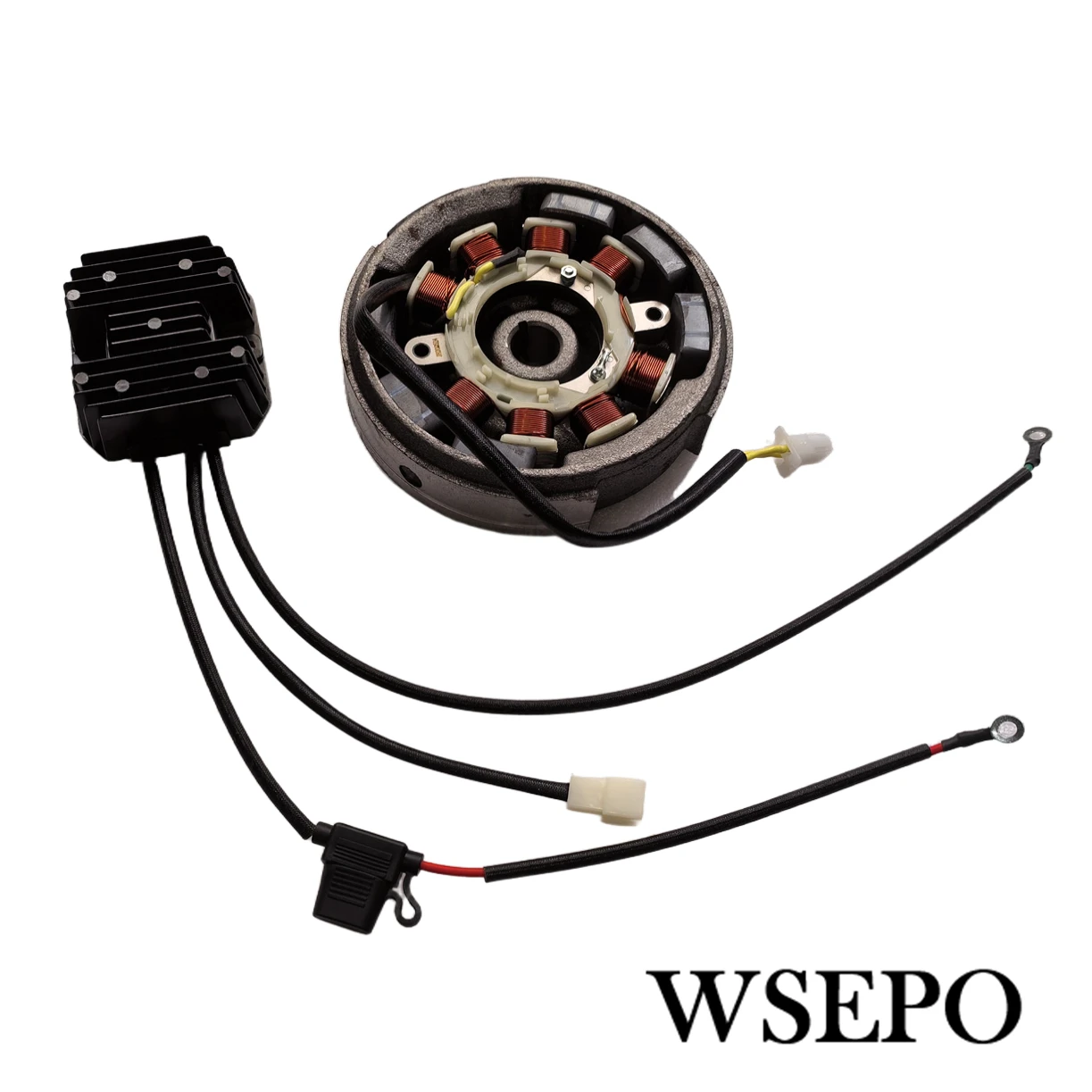 12V 10Amp 6 Magnets…