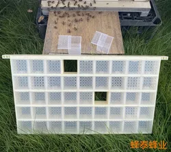 Bee Multifunctional Plastic King Storage Device, Multi King Level King Storage Device, Queen Storage Device, King Cage, 45 Grid