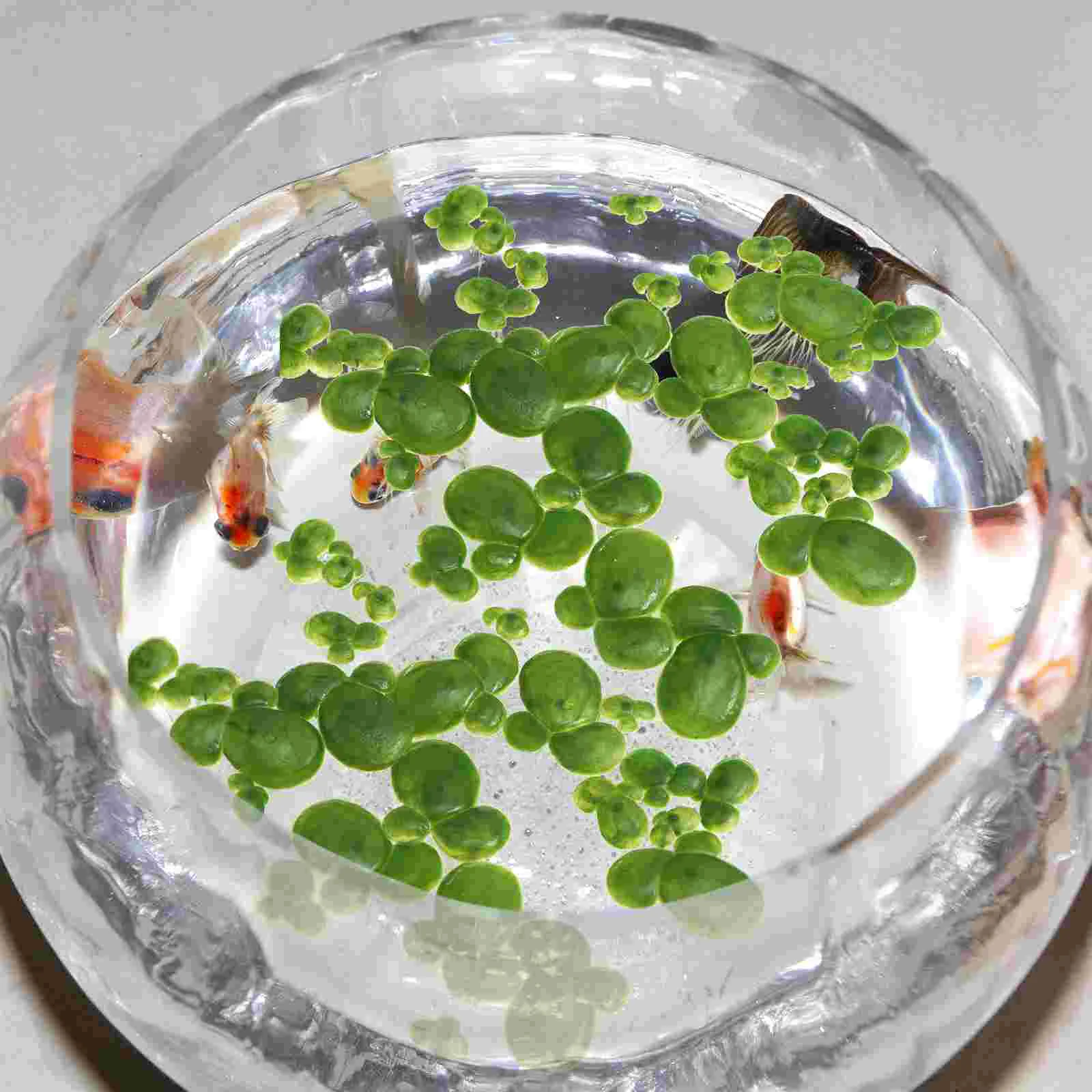 2 Packs/36PCS Artificial Plant Duckweed Fake Aquarium Live Lily Pads for Fish Tank Grass Leaves Baby