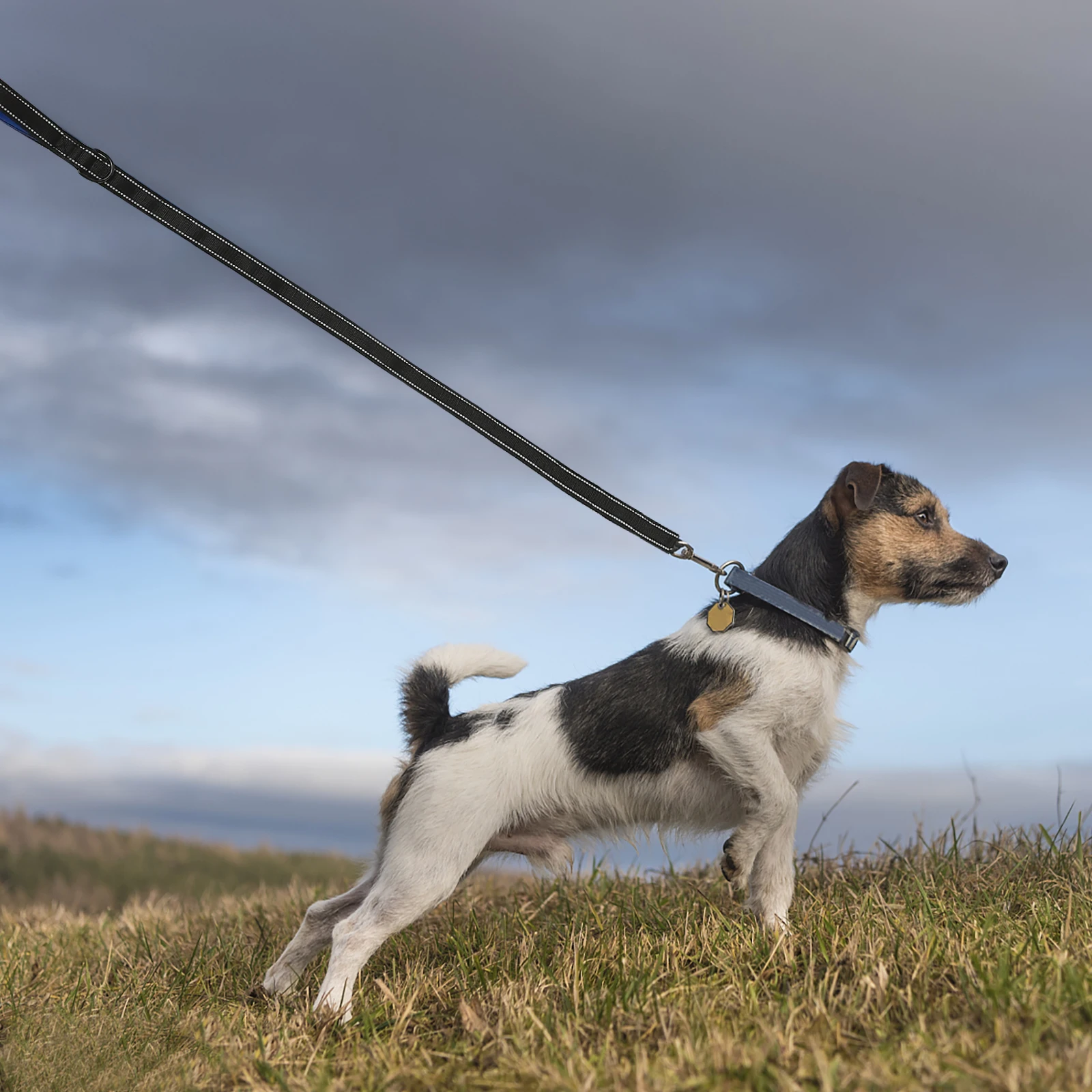 

Adjustable Dog Pet Traction Rope Pulling Walk Travel Reflective Metal Connector 360° Rotation Durable Lightweight Outdoor Small