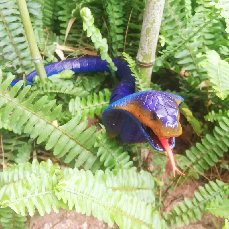 

Игрушка-змея, радиоуправляемая реалистичная шутка кобры, шутка, змея с электрическим управлением для кошек и домашних животных, забавный подарок для взрослых для мальчиков (синий)